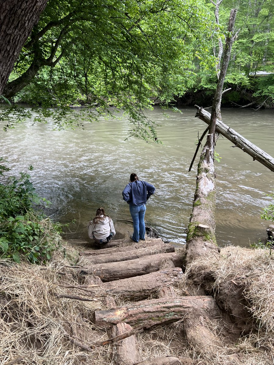 RootEdNC's tweet image. We ❤️ opportunities to partner with @ConsrvgCarolina. We spent the morning getting rid of invasives along the French Broad; it’s way more fun than you might think, and these kids did a great job!