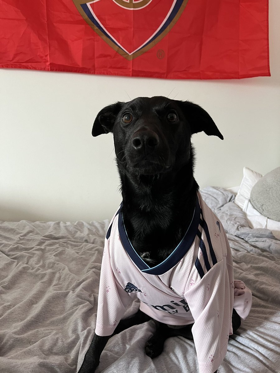 jessreeder2's tweet photo. Jax is ready for the last game of the season! COYG🔴 @ArsenalWFC @leahcwilliamson https://t.co/tlhKeZyhIk