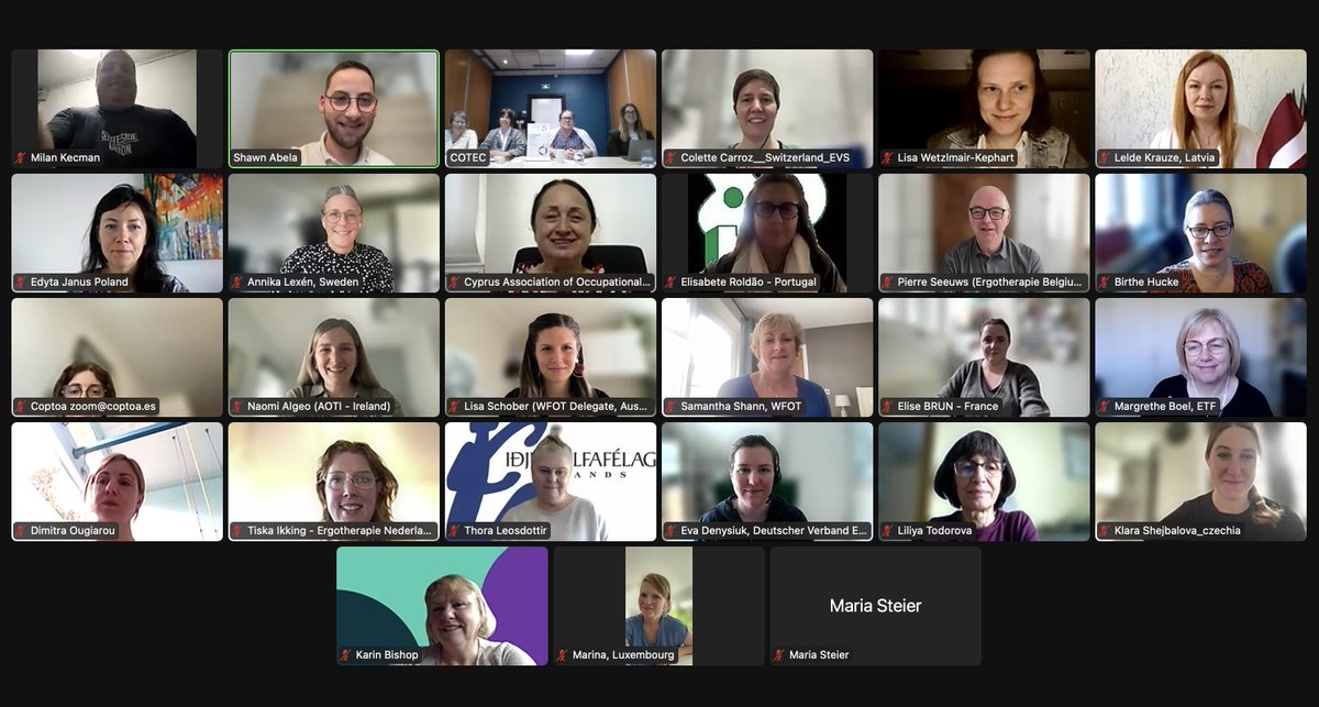 COTEC held an online Governance Day this morning during which various updates and discussions were held. Samantha Shann, President of <a href="/thewfot/">WFOT</a>  Federation of Occupational Therapists (WFOT) and Alison Laver-Fawcett, Chair of <a href="/OTeurope1/">Occupational Therapy Europe</a> also updated our Member Associations.