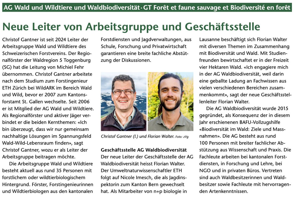 Seit dem Jahr 2024 leitet Christof Gantner die Arbeitsgruppe Wald und Wildtiere des Schweizerischen Forstvereins. Gleichzeitig hat auch die Arbeitsgruppe Waldbiodiversität mit Florian Walter einen neuen Geschäftsführer bekommen. Wir freuen uns auf die Zusammenarbeit.