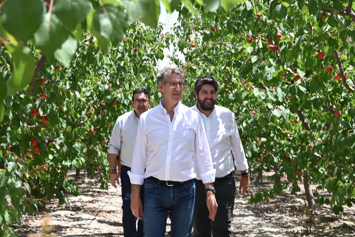 🔵El campo y la #RegióndeMurcia se la juegan en Europa el 9 de junio, y la esperanza se llama @NunezFeijoo 🔵Los agricultores necesitan un presidente que se preocupe y se ocupe de resolver sus problemas 🔗cutt.ly/rerC9ag8