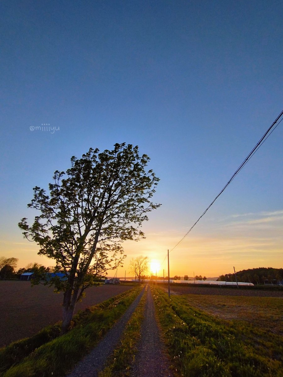 ...♪*ﾟ くたくたでねむねむ 今日の夕陽眩しかったよ