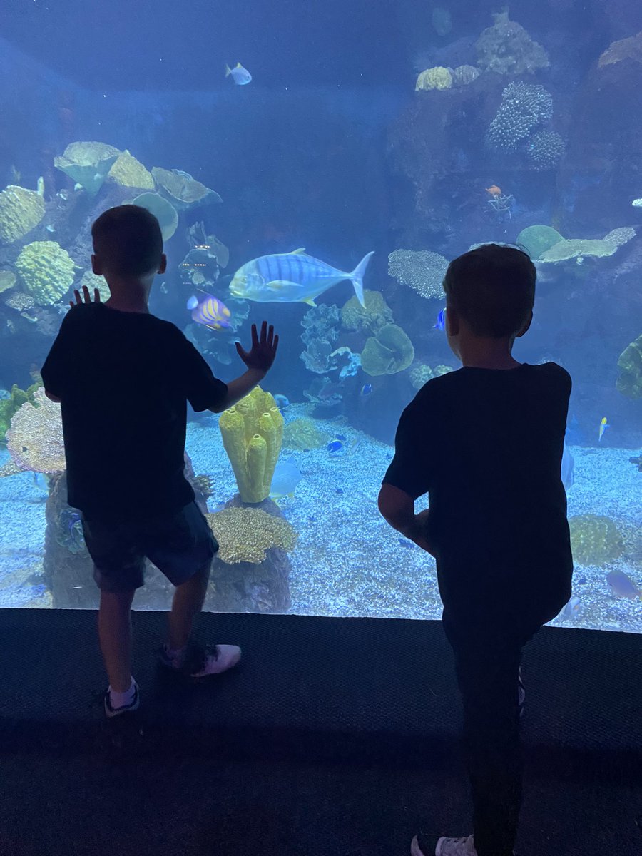 Mary Krell tweet media