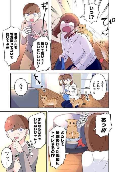 老いた捨て猫をひろった(0/14)#マンガが読めるハッシュタグ 