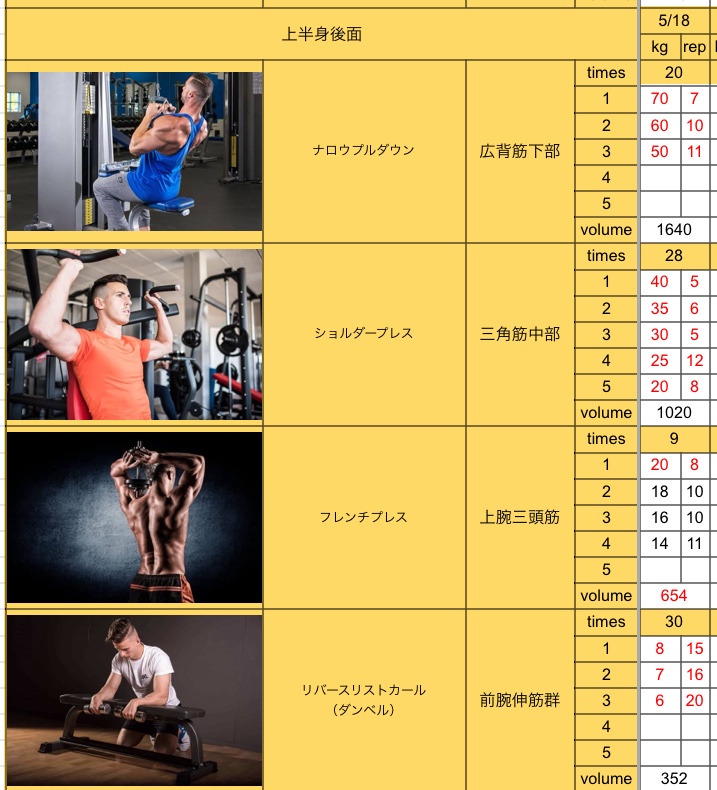 今日は上半身裏側🏋️✨
リバースリストカールは祝30回目🥳