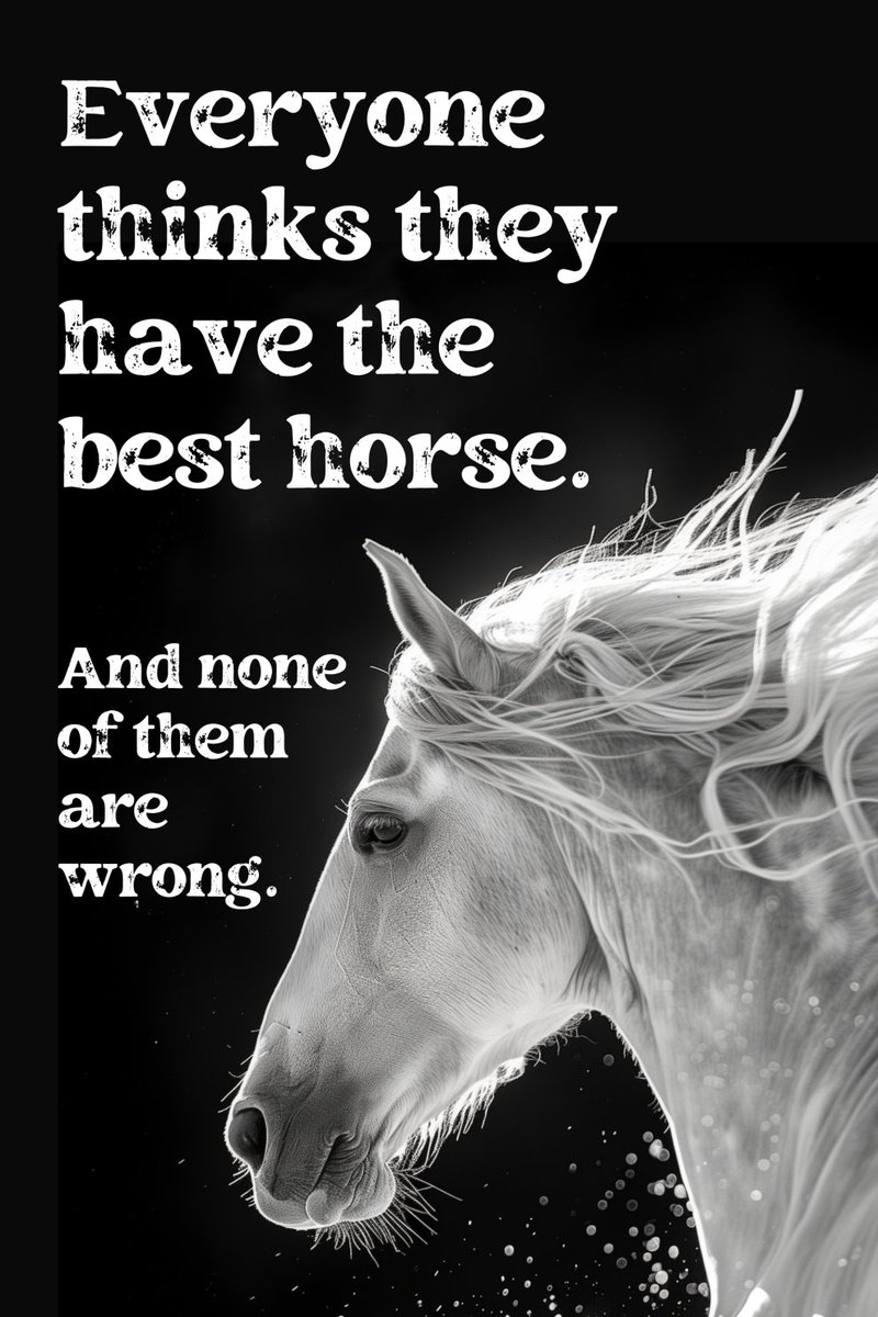 While each horse may be unique, they all share one thing: the ability to be the best for someone.