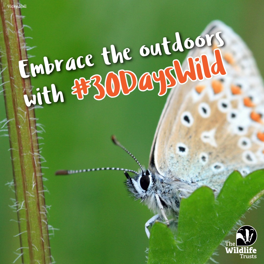 Spend your June going #30DaysWild! It's been shown that spending time in nature can boost your mental and physical wellbeing. Sign up now, connect with nature and start the summer with a spring in your step 👉 wildlifetrusts.org/30dayswild