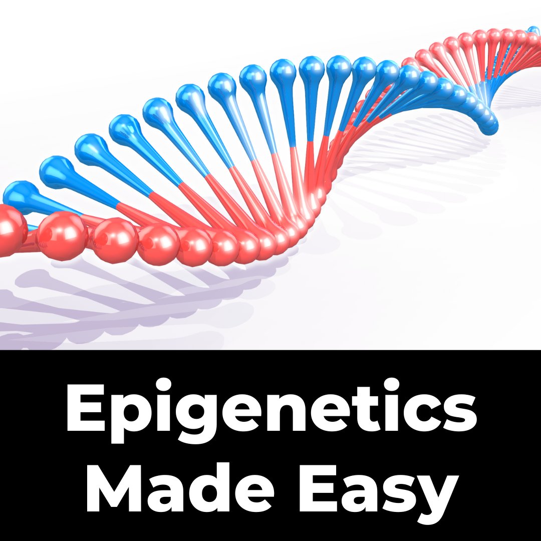 Epigenetics & how it affects your health is something I write much about

It’s helped me improve my health

But for many, it’s an unknown science or not easily understood

I’m going to explain it in layman’s terms & make it very simple

Understanding = improved health

THREAD