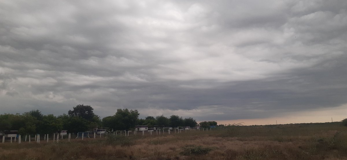 Capturing the serene mood of a cloudy day in Sevalpatti, Tamil Nadu. 🌧️📸 #MonsoonMagic #TamilNaduWeather