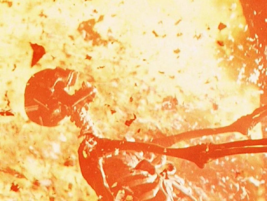 Multiverso tweet media