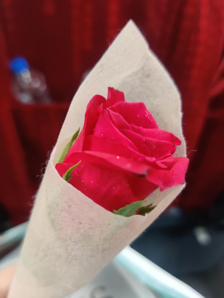Onboard #VandeBharat to Ayodhya. Lovely staff that greeted us with a Rose & Jai Sri Ram. Strongly suggest you carry your Breakfast , unless you dig Leathery Pooris. @IRCTCofficial