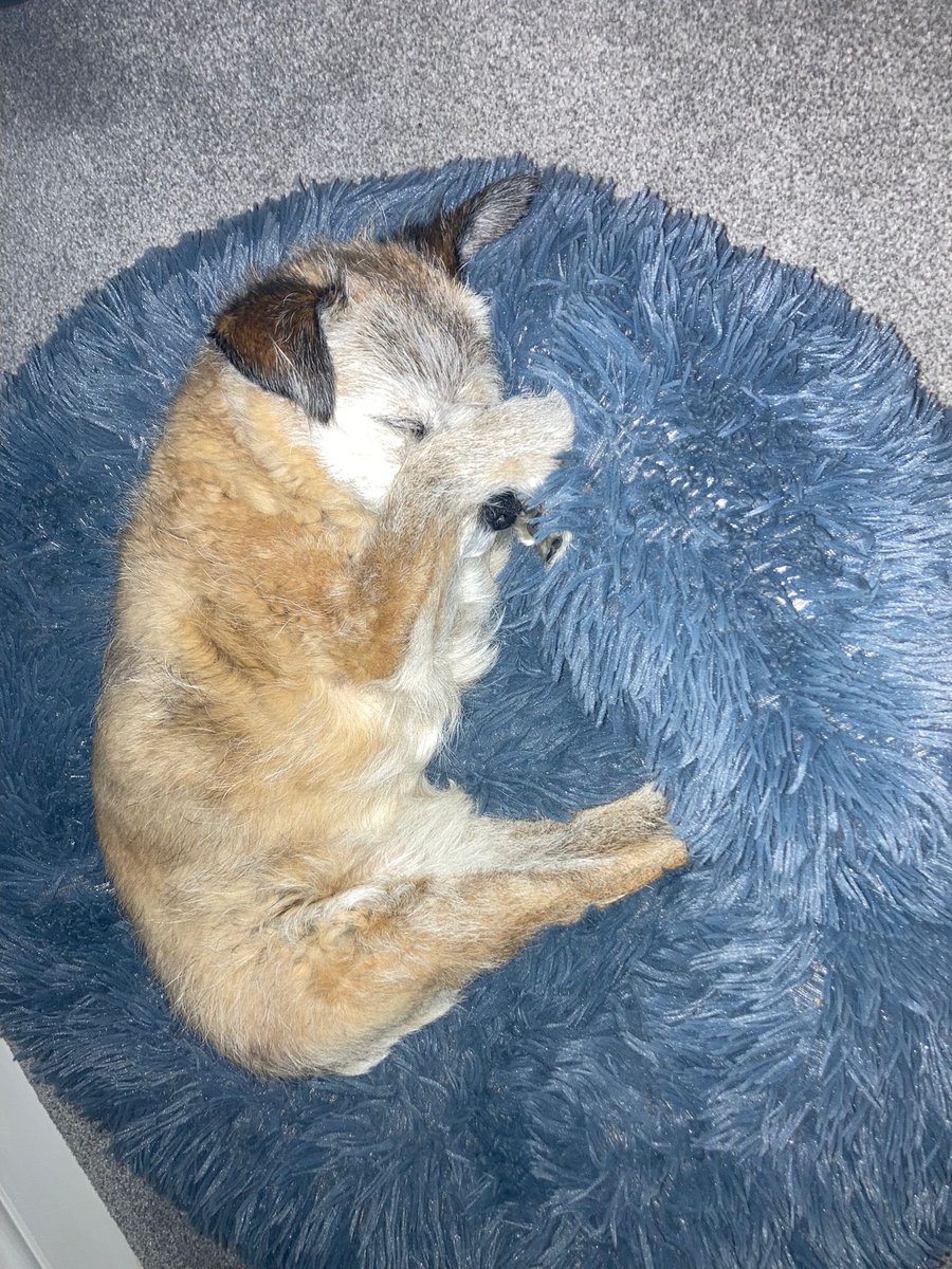 Miss Williams tweet media