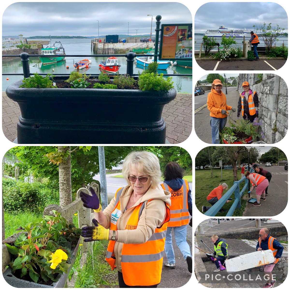 Cobh Volunteers loving where they live - planting, painting, litterpicking and preserving bulbs❤️ #cobh #tidytowns