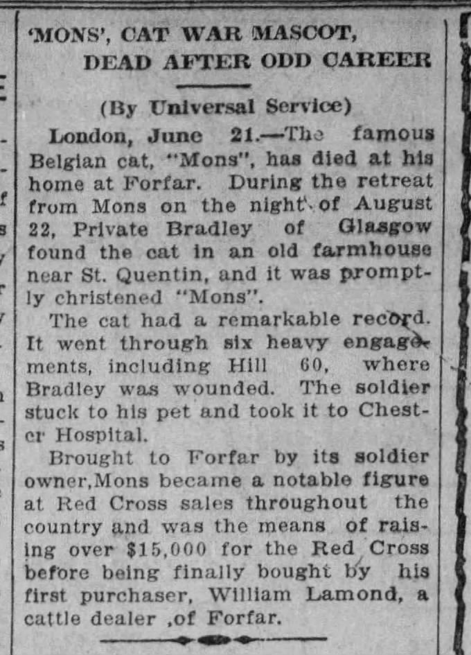 Our #Caturday Feline of the Week is Mons, famed war veteran. (Lancaster News-Journal 1923, via @_newspapers)
