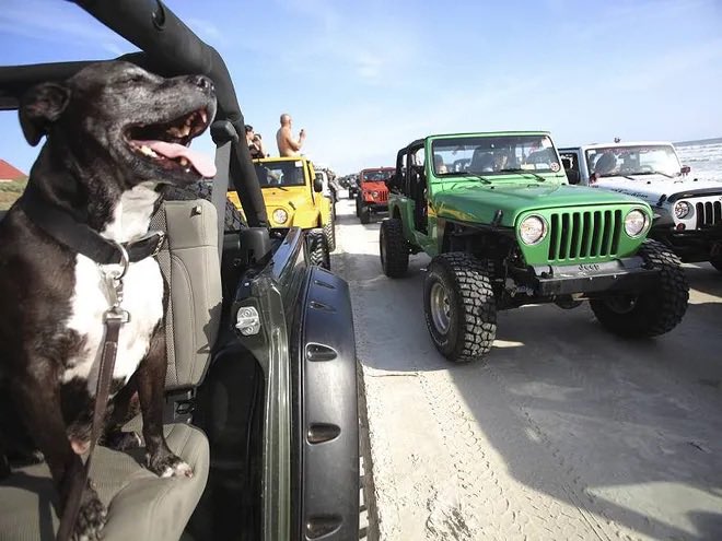 Good morning @THEJeepMafia 👋🏼 yep, we all know that feeling-it’s Jeep time!! Get in, buckle up and let’s get Jeepin🎉