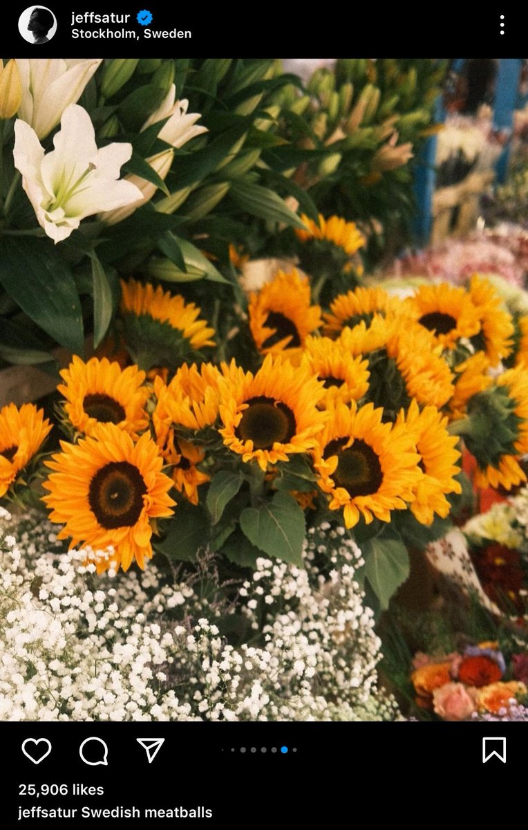 the flowers in jeff post

- pansies (messenger of the heart)
- tulips (profound connection between two people)
- lilies (faith)
- sunflowers (adoration)
- baby breath (everlasting love)