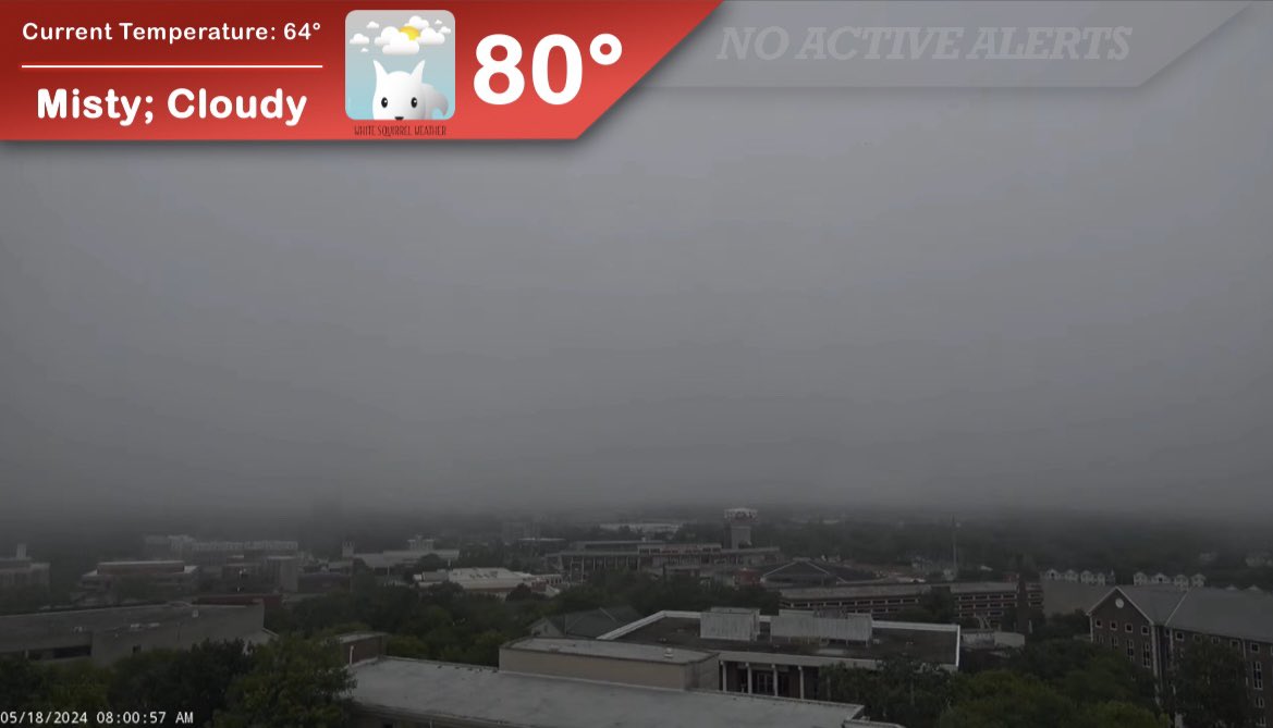 A misty, damp morning will slowly transition to cloudy skies with a chance for a thunderstorm or two as we go throughout our Saturday. Sunshine and warmer temps return to #WKU later this weekend, giving us a few days to dry out before our next storm system arrives! ⛅️☔️