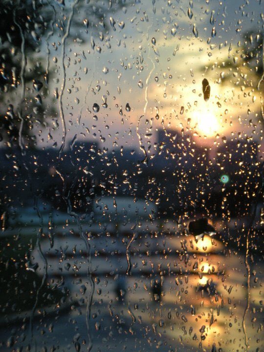 'You survived too many storms to be bothered by raindrops ~ unknown' ⛈️#weekendwisdom #dontgiveup