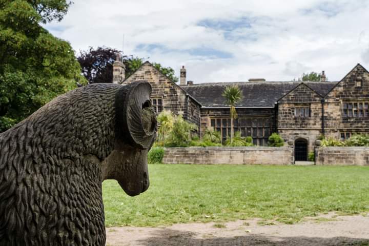 Happy #InternationalMusuemDay ! In Kirklees, we are proud to look after #TolsonMuseum #BagshawMuseum, #OakwellHall & a wonderful Art Collection! Pop in and visit this weekend!