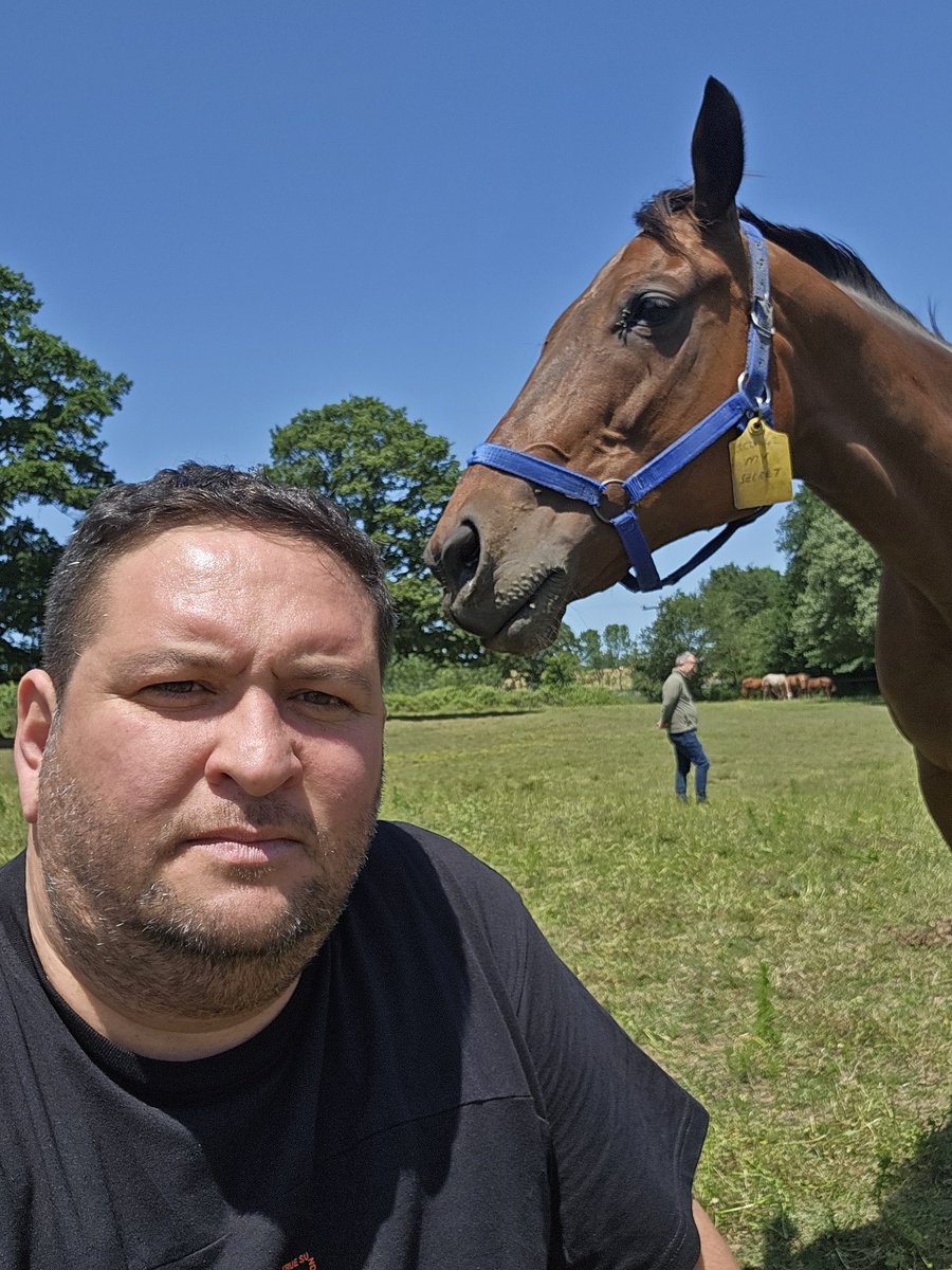 Bir zamanların müthiş kısrağı, şimdilerin müthiş annesi My Secret...