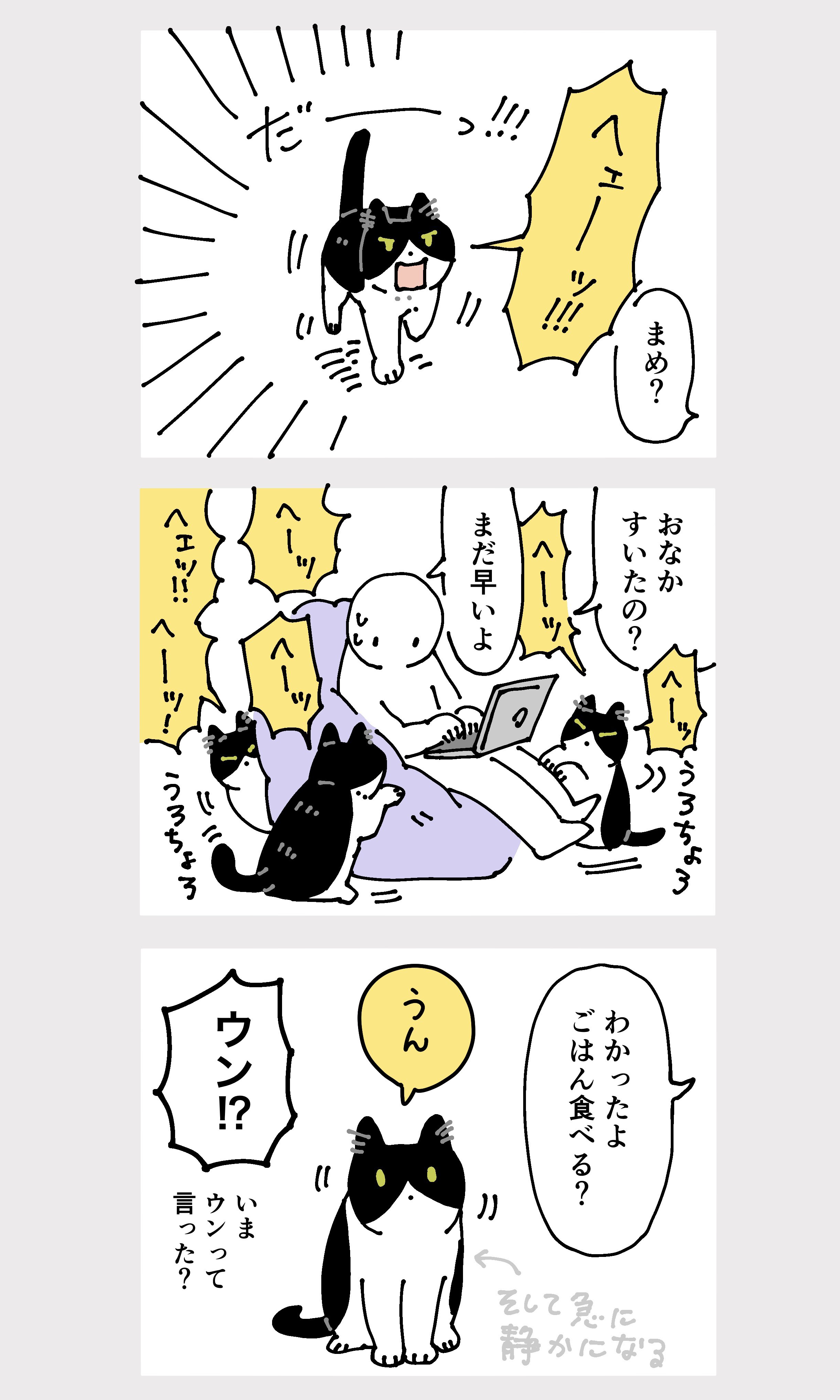 どっせい！ねこまたずもう | ねこのみち
