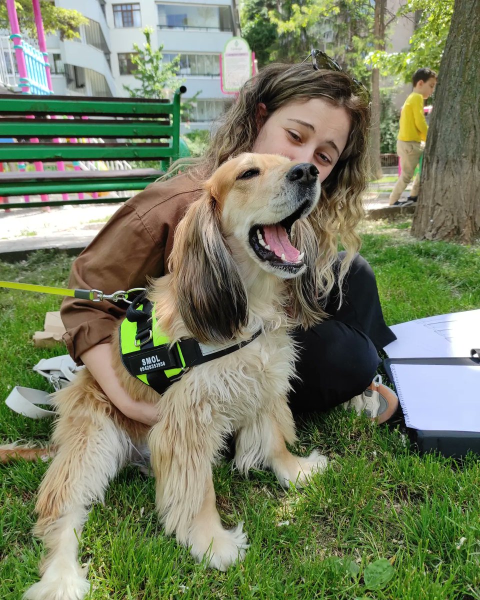 Yeniden gelen baharı açık hava resim derslerimizle kutluyoruz 🎨

Let's celebrate spring by painting at the park 🖌️

#resimkursu #resimkursu #paintingatthepark #ourdoorpainting #açıkhavaresimçalışması