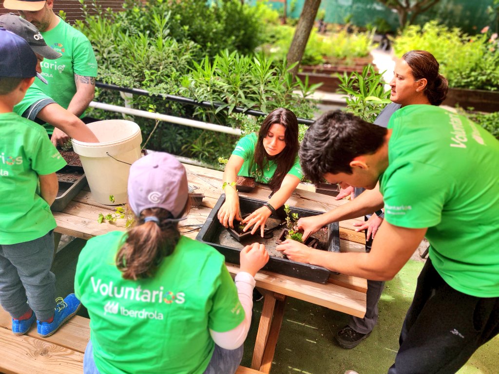 SergioAguinaga6's tweet photo. 🫸 En #Sufragio @GrupoAMAS @AytoLeganes no paramos 🛑

➕ Bonito que lo hemos pasado con nuestros amig@s de @iberdrola #voluntarios #ComprometidODS 💚

🖌️ Esta vez tocó pintar #SembrandoInclusión , la barandilla  y disfrutar del #Bonsaido y hacer 1️⃣ bonsái @HitoProyecto 🌳

👇📸 https://t.co/1Z180Ktp8J