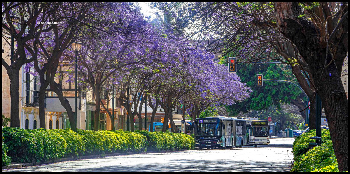 Málaga.
@turismodemalaga
@OrgullodeMalaga
@MalagaEnamorada
@vivecostadelsol
@viveandalucia
@feelcostadelsol
@EnamoradaMalaga
@mlgmonumental
@serdemalaga
@Storm_Malaga
@Eltiempoalsur
@serdemalaga
@Malagaconacento