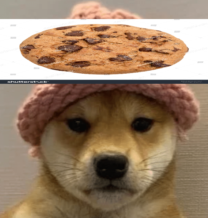 cookie_solana's tweet photo. $wif $cookie https://t.co/62deDvKq6c