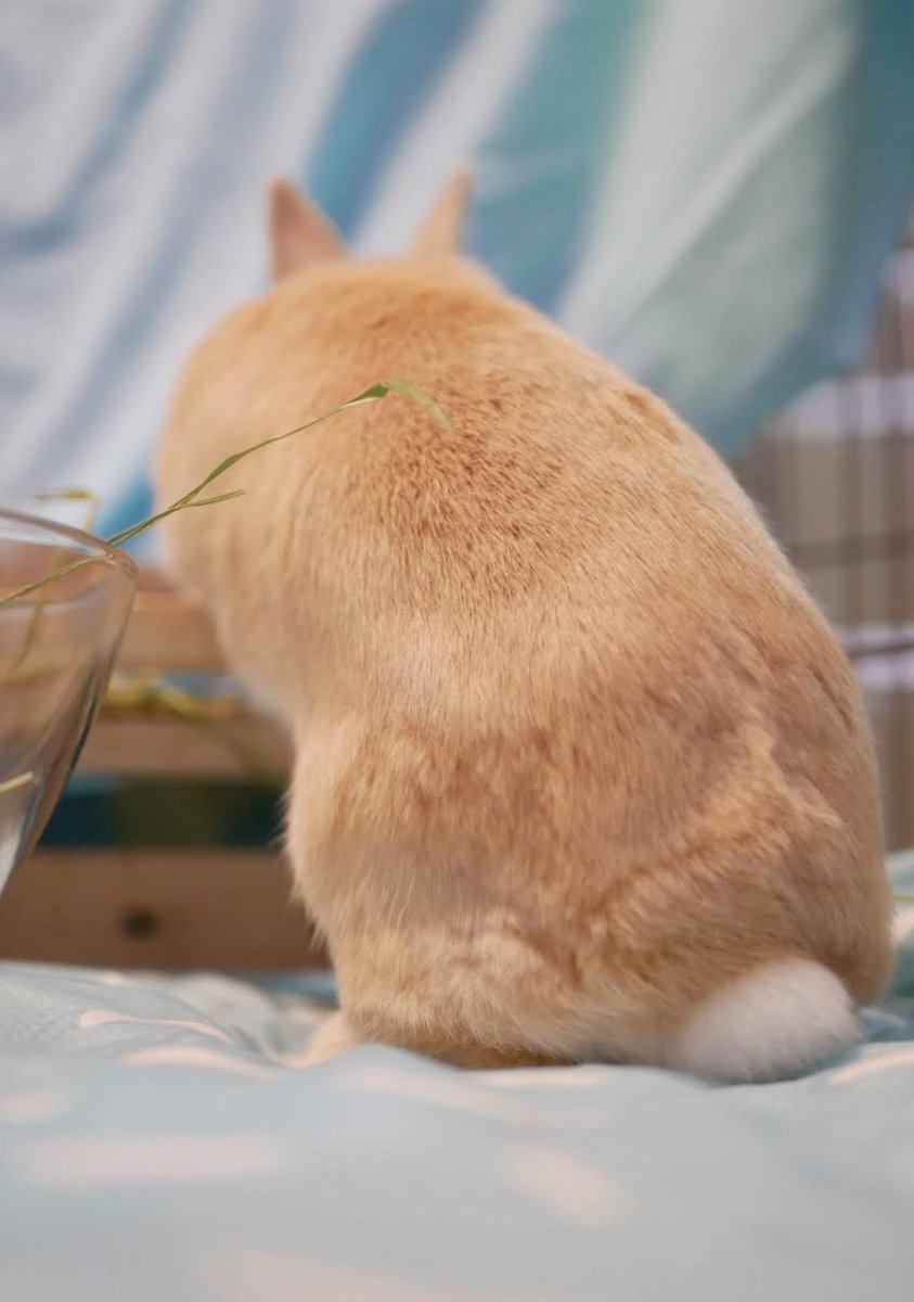 おいちーのないな🌱

#ひのけちゅ