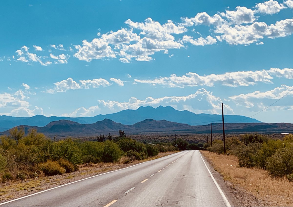 Bobby Brewer tweet media