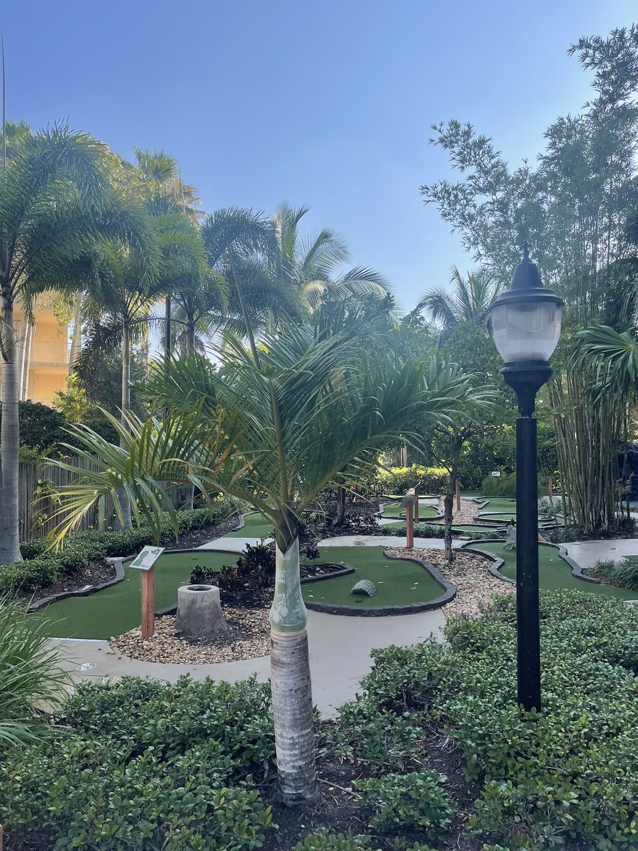 LipsSealed's tweet image. #CurrentSituation  🌴🏊🏾

#P9G

@MYAPLANET9 💍
@TerriMuhammad 🗡️
@fatbellybella 🗡️
@SisterShareefah 🗡️
@talk2spirit 📝
@TWISTAgmg 🔫
@TheOutlawz 🔫
@BrotherQiyam 🔫