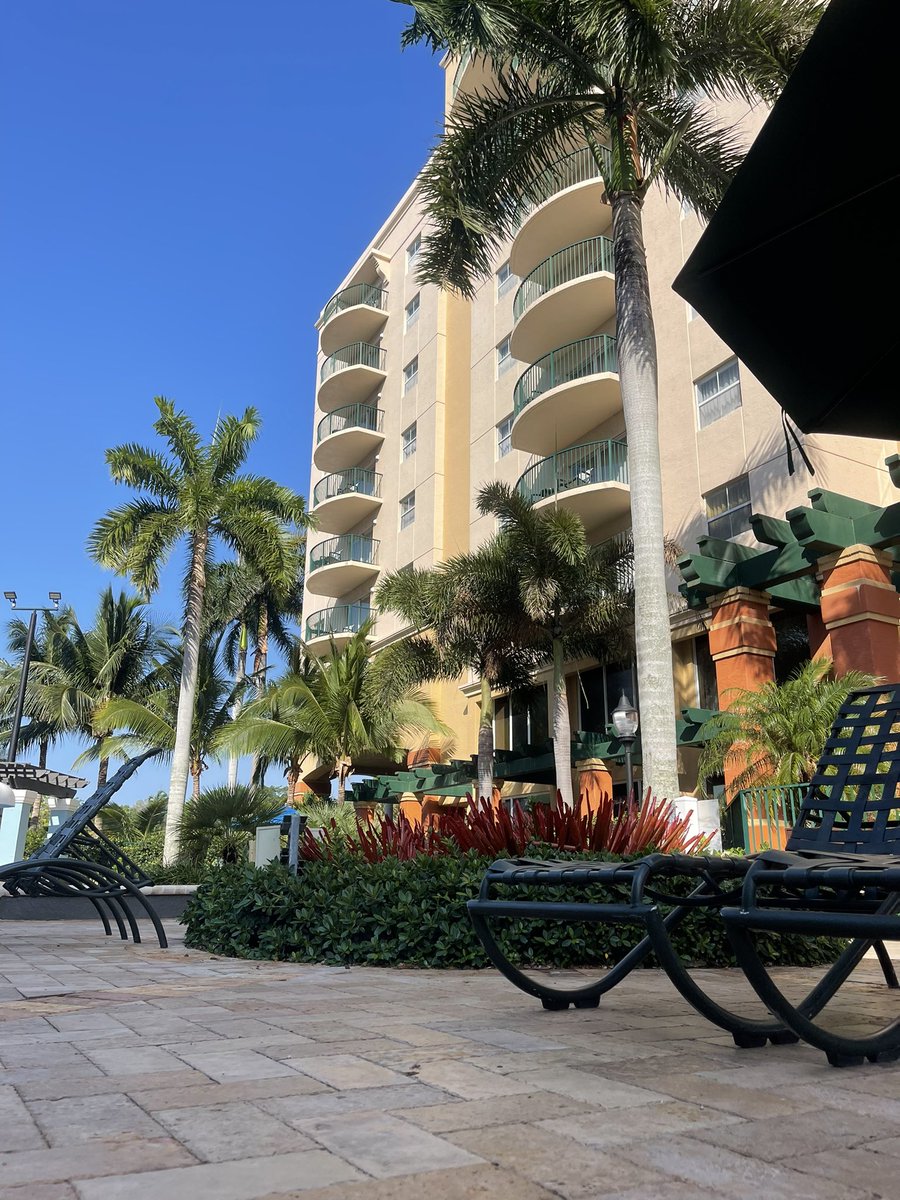 LipsSealed's tweet image. #CurrentSituation  🌴🏊🏾

#P9G

@MYAPLANET9 💍
@TerriMuhammad 🗡️
@fatbellybella 🗡️
@SisterShareefah 🗡️
@talk2spirit 📝
@TWISTAgmg 🔫
@TheOutlawz 🔫
@BrotherQiyam 🔫