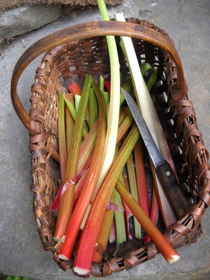 What are quintessential seasonal foods right now where you live? If you grow rhubarb or have access to a patch here's a reminder that rhubarb pie is a classic and delicious springtime dessert. You can find our recipe below! motherearthnews.com/real-food/perf…