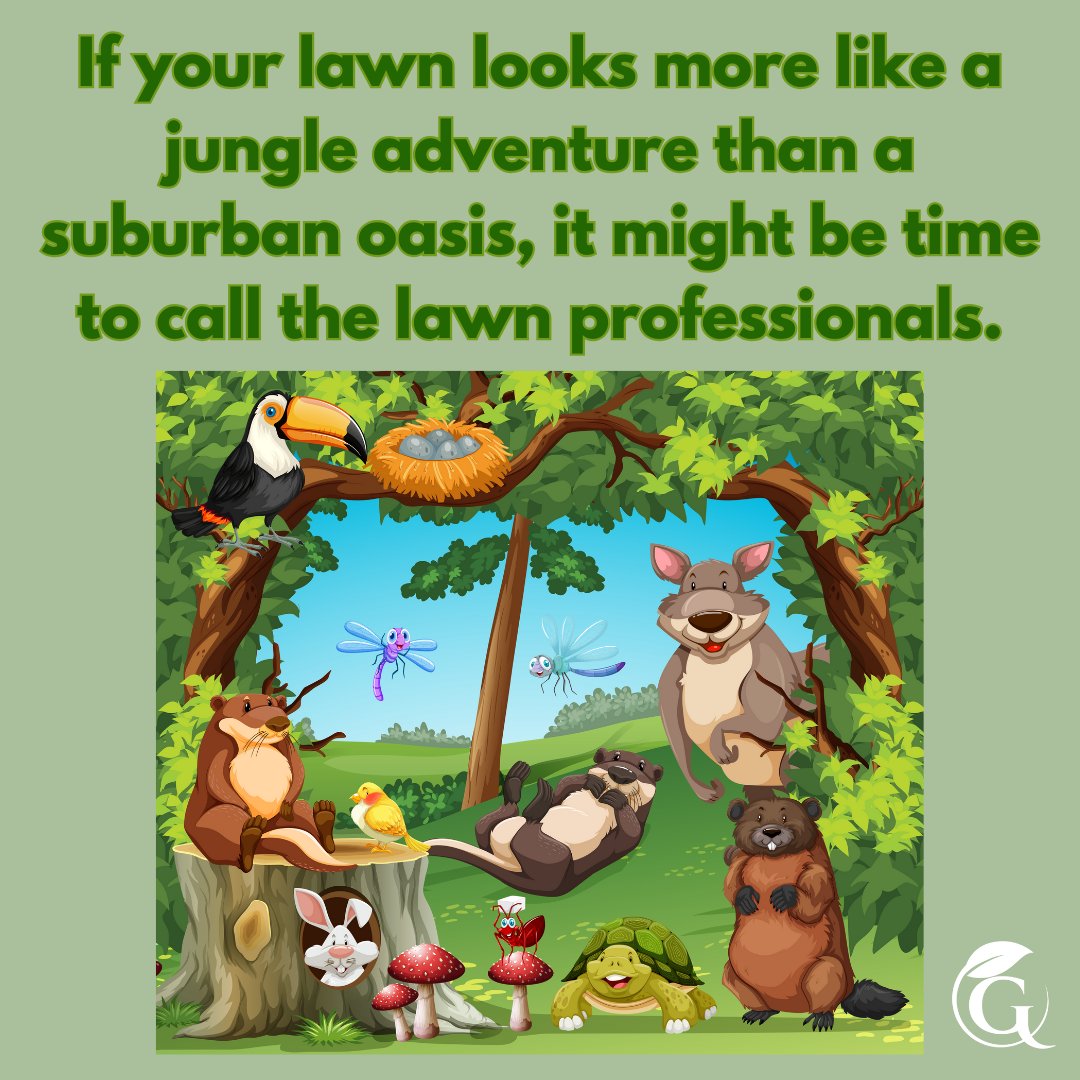 #GuardianLawnCare #lawncare #lawntreatments