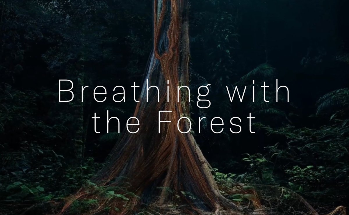 This week, we invite you to enter an exchange with the Amazonian rainforest in “Breathing With the Forest,” a special digital adaptation of Marshmallow Laser Feast’s immersive installation that invites you to find where you end and the forest begins. emergencemagazine.org/feature/breath…