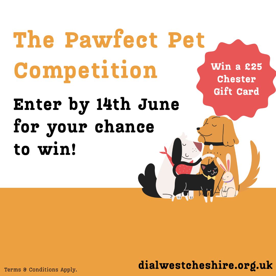 📣Win a £25 Chester Gift Card! 📣 We are looking for the Pawfect Pets to take part in our virtual Pet Show. £3 per entry & all proceeds go to Dial West Cheshire, improving the lives of disabled people. 👉 Find out more and enter: buff.ly/4a4Nkiv @ShitChester @Chestervol