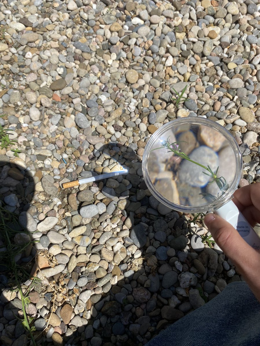 creeis q lo conseguire??