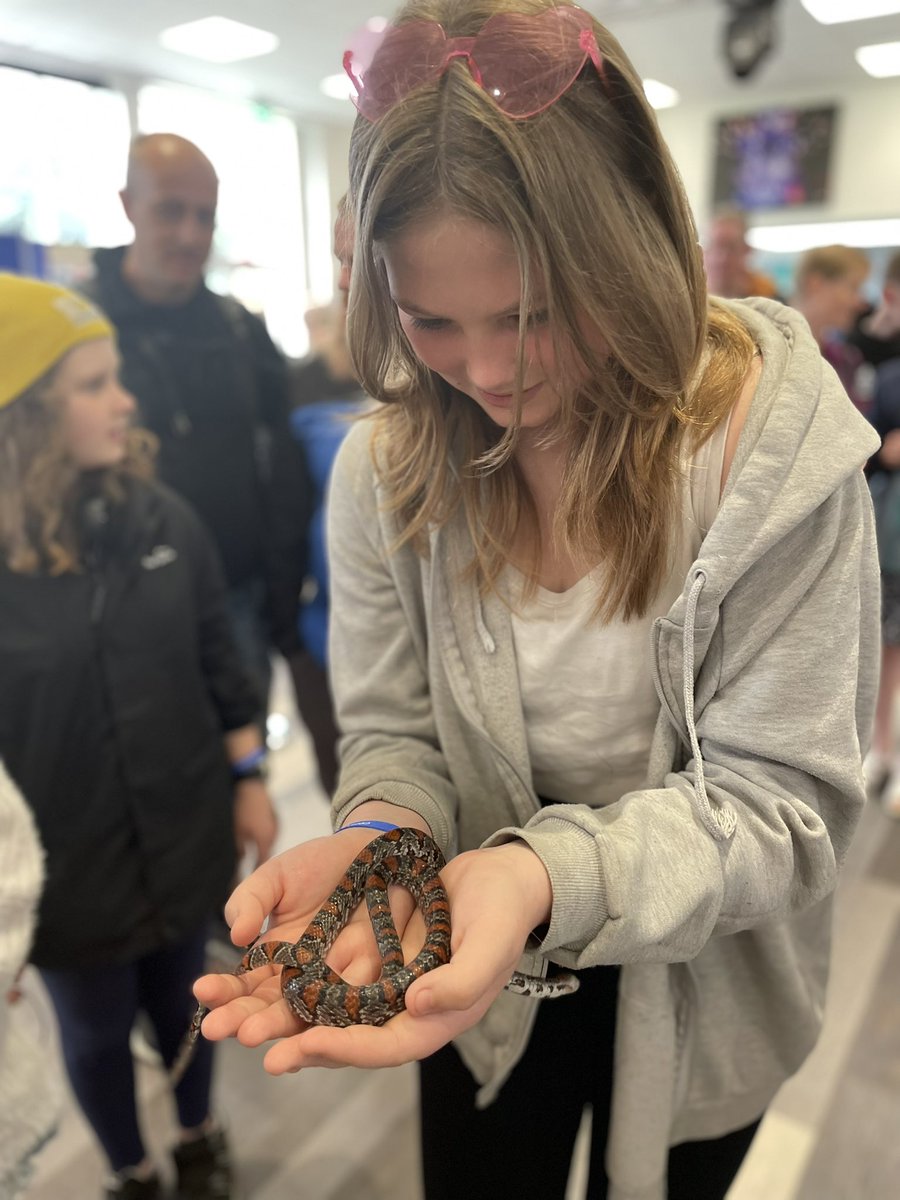 Making friends and learning about venom research at University of Reading’s community festival. #ReadingUniversity #ReadingSoP #ReadingPharmacy