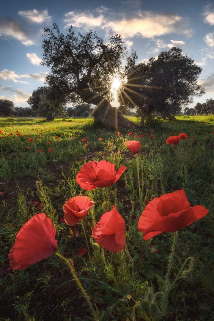 rdchanchad's tweet image. Weekend vibes with some TL cleanser. 

#multicolor