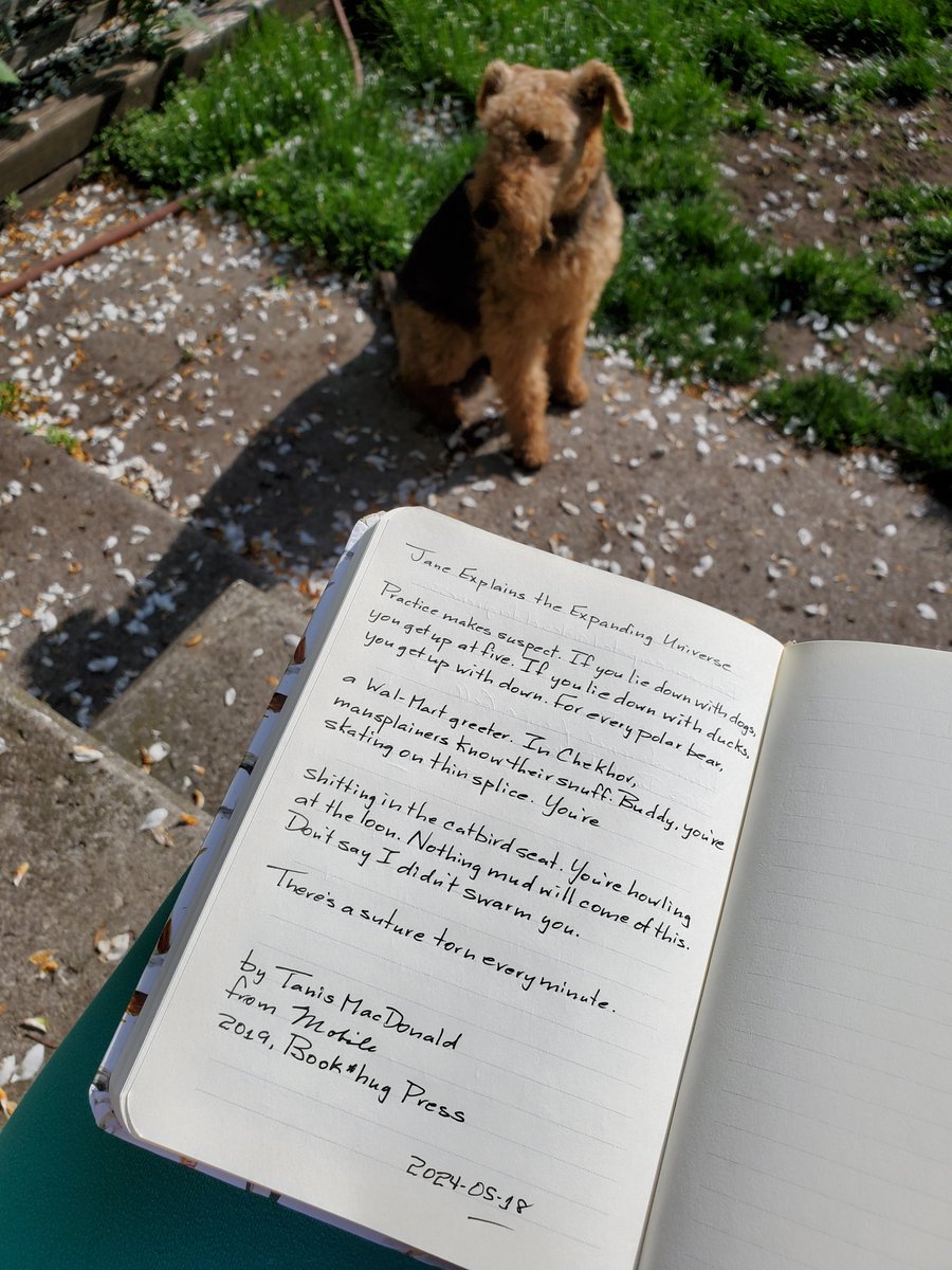 'If you lie down with dogs, you get up at five. If you lie down with ducks, you get up with down.' #TodaysPoem #poetry Jane Explains the Expanding Universe by Tanis MacDonald from Mobile (2019 @BookhugPress) tinyurl.com/2uawwsrk