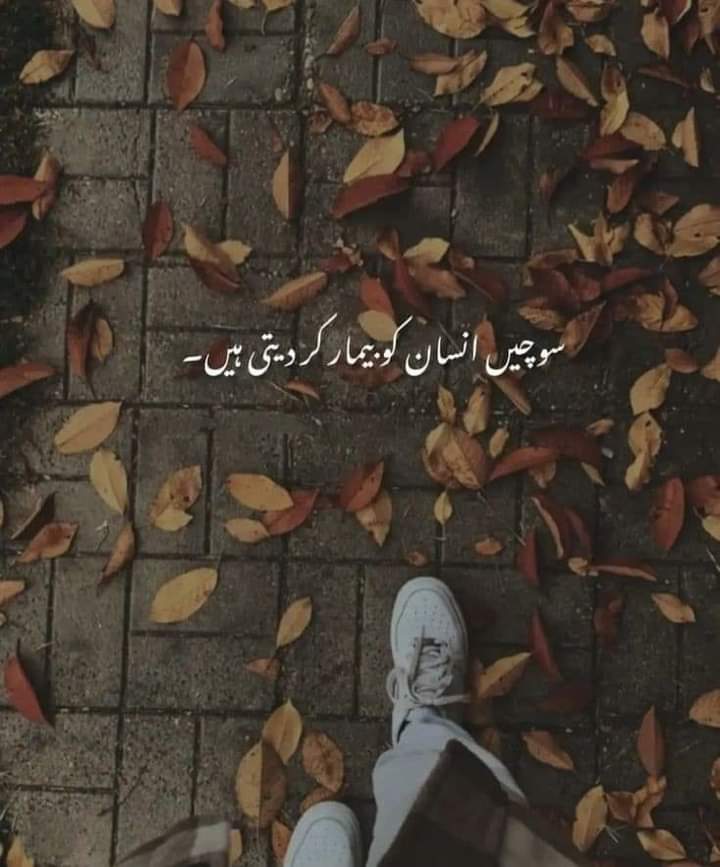 CHWASEEMAH39071's tweet photo. #MetGala2024 #eurovisiongr
 #getoutofrafah #Eurovision2024 #Rafah #matura2024 #matura2024 #스키즈_멧갈라_축하해 #Eurovision #LovelyRunnerEp10 #nieve https://t.co/VqBRgmbAVw