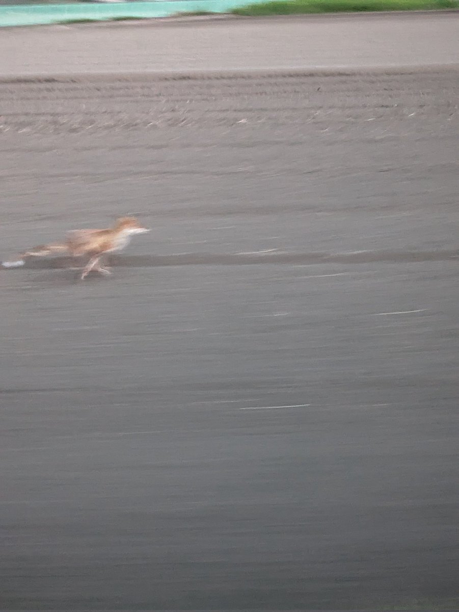 むむむ（むっちゃん） (@mu_chan1030) / Posts / X