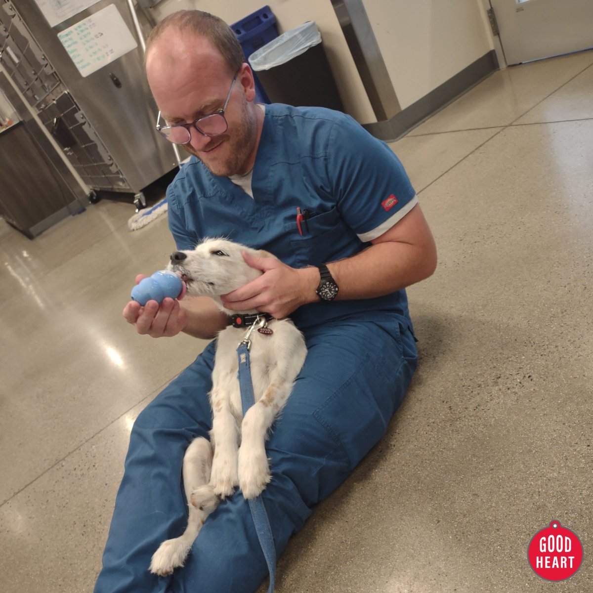 A little hand-to-tongue Kong time going on here! The cuddlier we can be, the better 🤗 💙