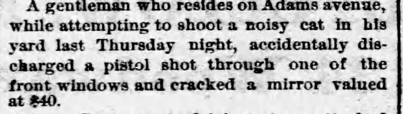 This week's #Caturday scorecard: Gentleman who resides on Adams avenue: 0 $40 mirror: 0 Cat: 2 (Detroit Free Press 1875, via @_newspapers)