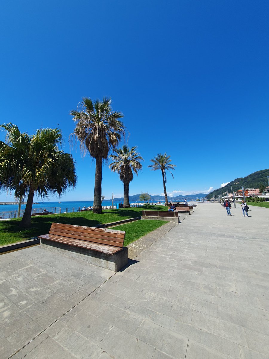 mattex53's tweet image. Life is good