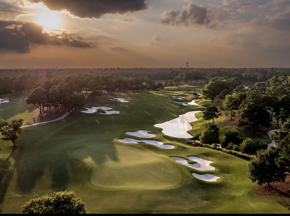 Quinn McCaul tweet media