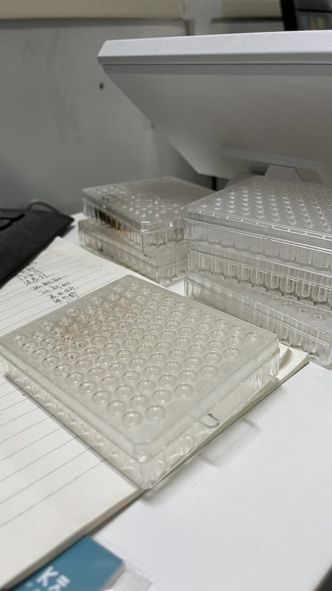 EvolvedBiofilm's tweet photo. 100 well plates… 
[4/n] https://t.co/Jz6R9VJzPA