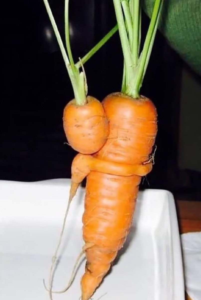 Carrots need hugs too! 💕