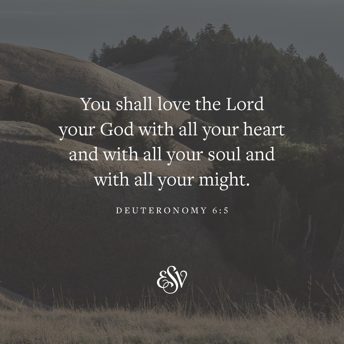 You shall love the Lord your God will all your heart and with all your soul and with all your might. 
—Deuteronomy 6:5 ESV.org

#Verseoftheday #Bible #Scripturememoryverse #ESV